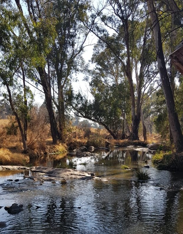 modderfontein spruit